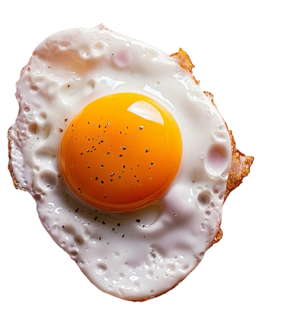 Fried egg